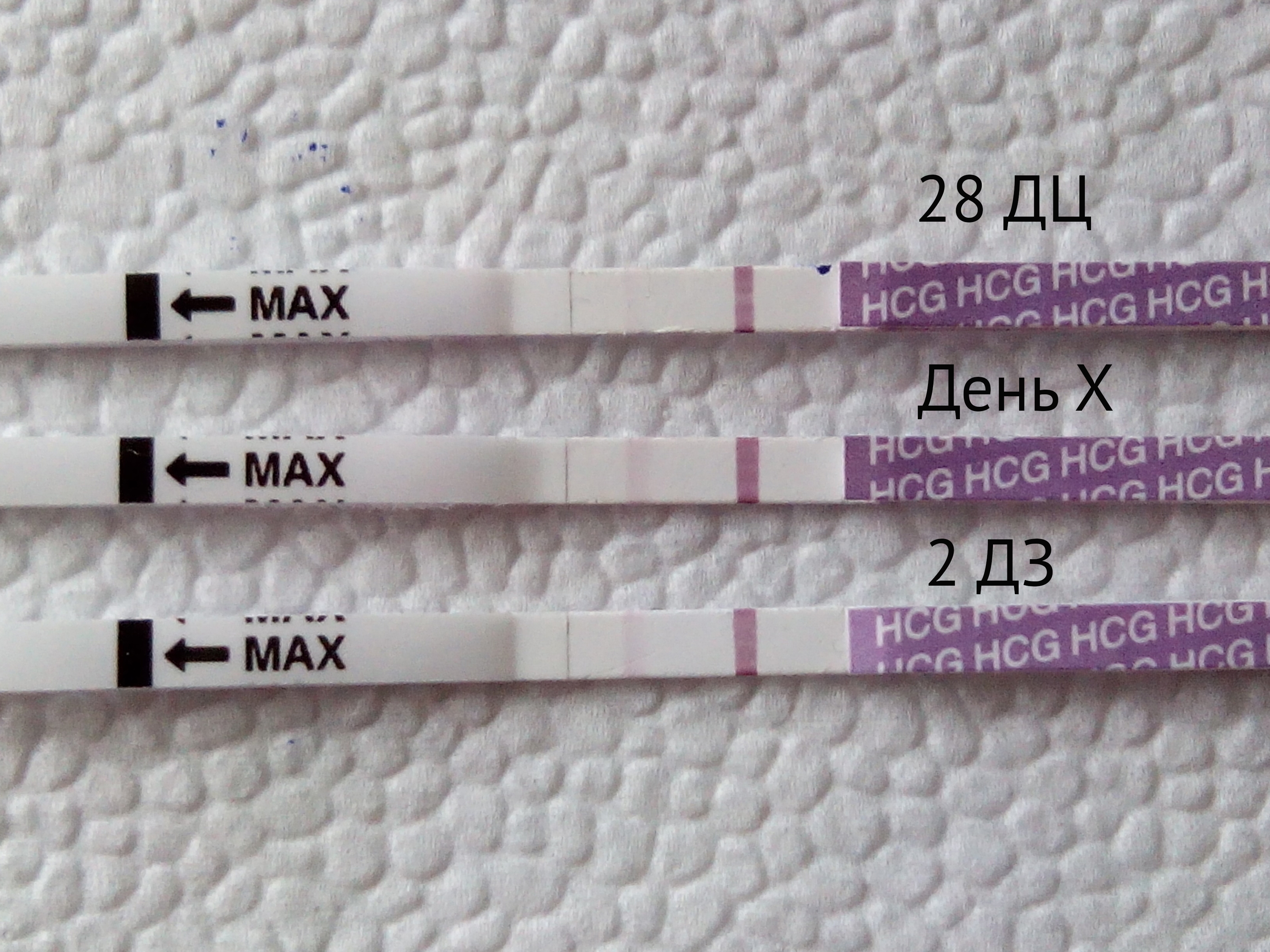 Тест на беременность на 2 день задержки показывает беременность
