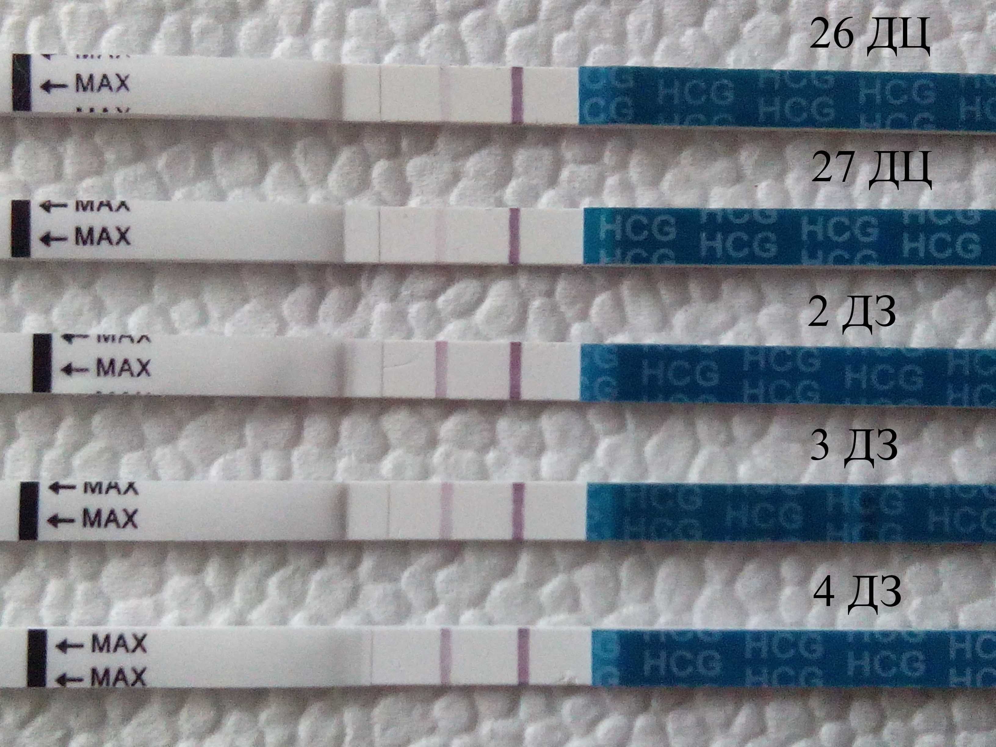 Положительный тест на беременность в первый день задержки