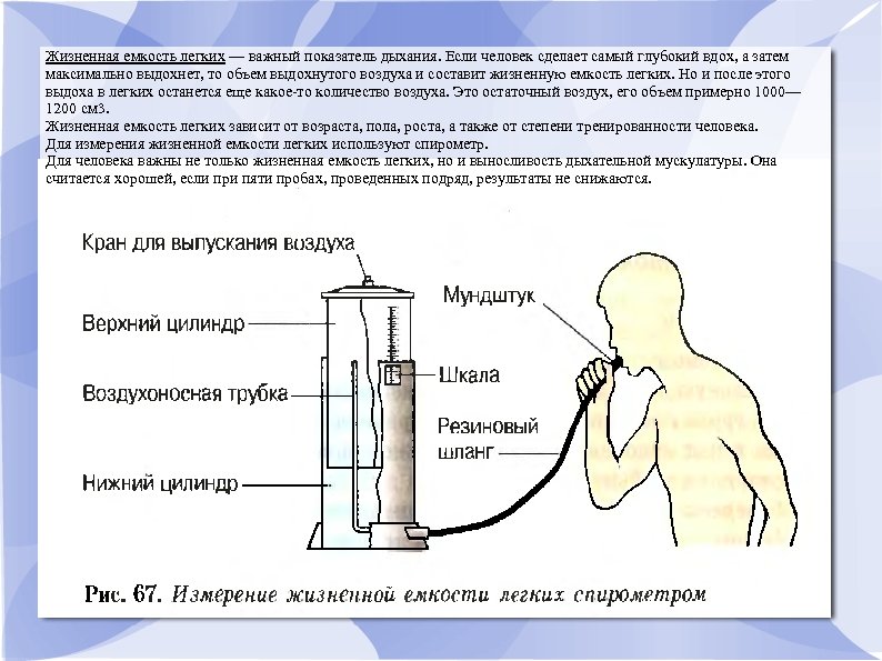 Жизненная емкость определение. Измерение жизненной емкости легких. Измерение жизненной емкости легких и дыхательного объема. Измерение жизненной емкости легких показатели. Методика определения жизненной емкости легких.