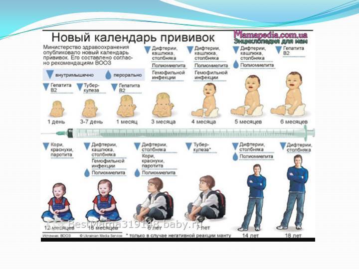 Полиомиелит график прививок россия