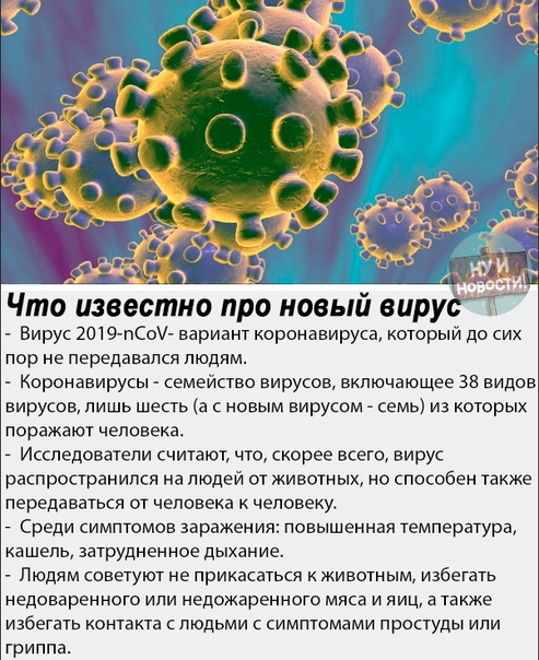 Вирус ковид отнесен к группе патогенности. Вирус коронавирус. Коронавирус возбудитель заболевания. Коронавирус информация о вирусе. Коронавирус описание вируса.