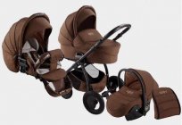 Stroller for boys: choosing colors and firm, prices