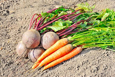 carrot beetroot