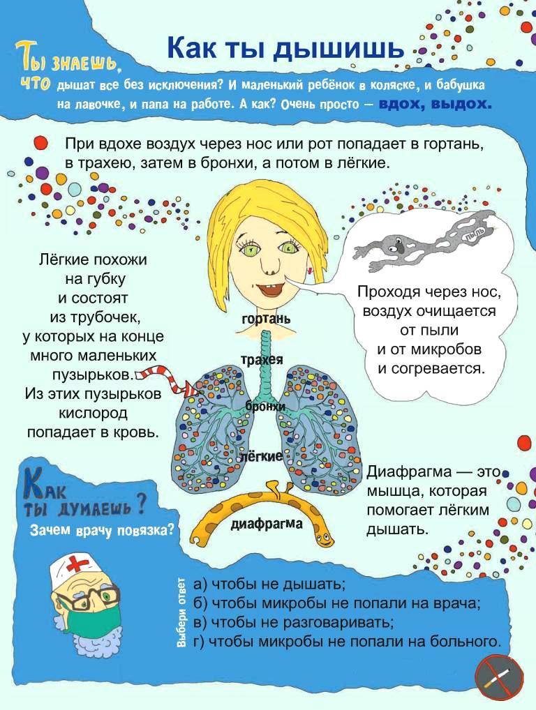 Дышащий почему а. Как дышит человек. Зачем мы дышим. Для чего человек дышит. Как мы дышим для детей.